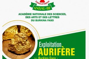 Exploitation aurifère 1