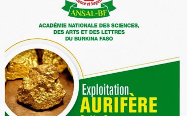 Exploitation aurifère 1