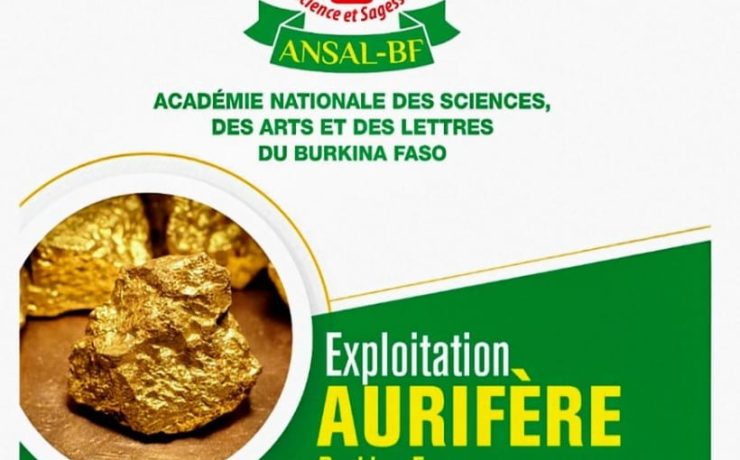 Exploitation aurifère 1