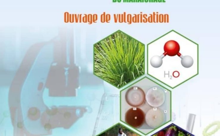 Regard sur les évidences scientifiques